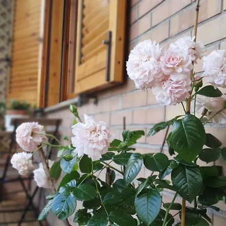 Scacciapensieri Vicino Al Policlinico E Al Centro Citta Appartement Siena Buitenkant foto